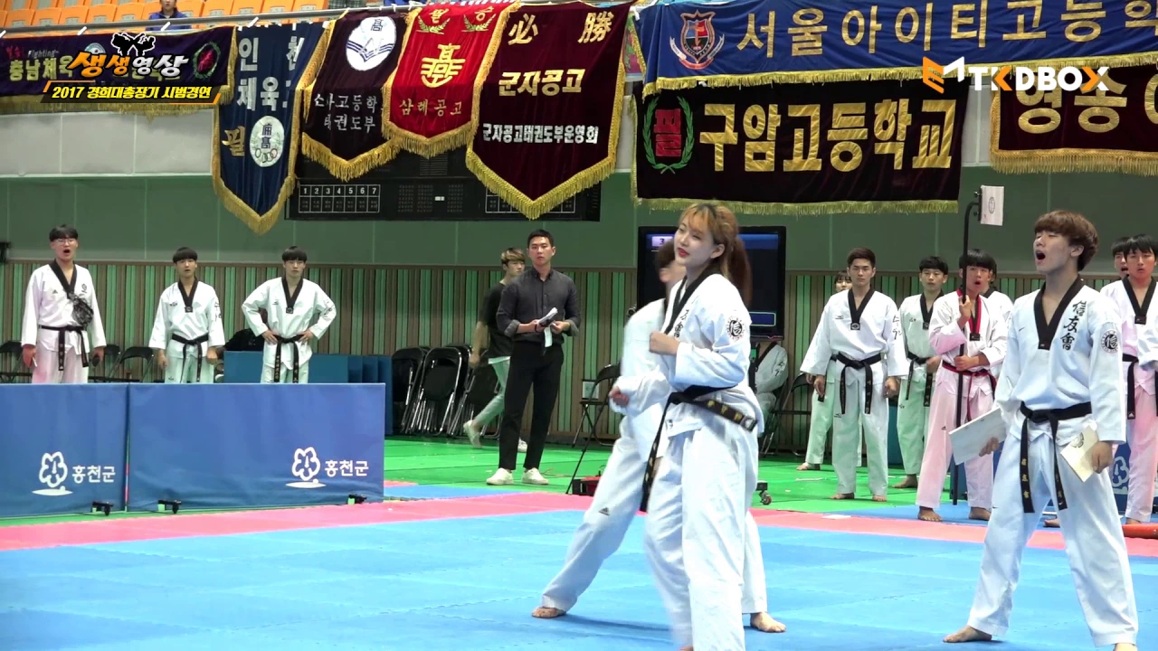 [跆拳道] 2017年韩国庆熙大学校长杯试演比赛中发生的事情