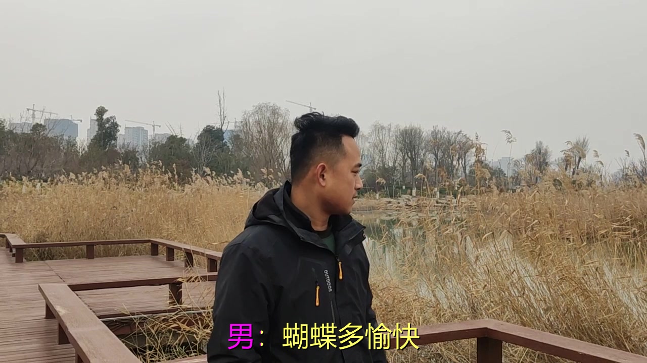 [图]经典音乐，一首《蝴蝶自在》唱的真心好听，歌声清柔如水