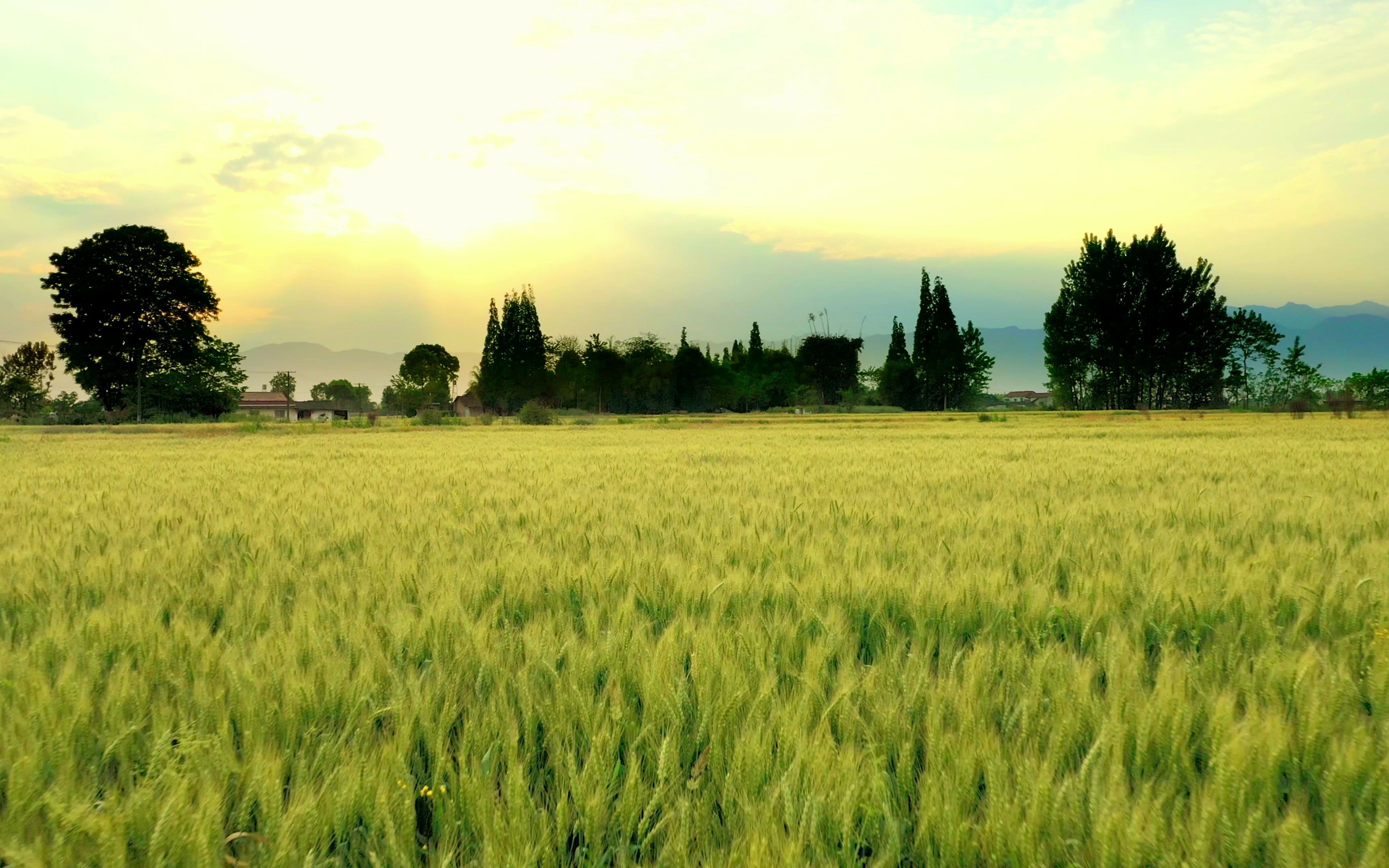 田野生梦想,沃土耕天下.《中国农资秀》让耕耘可见.