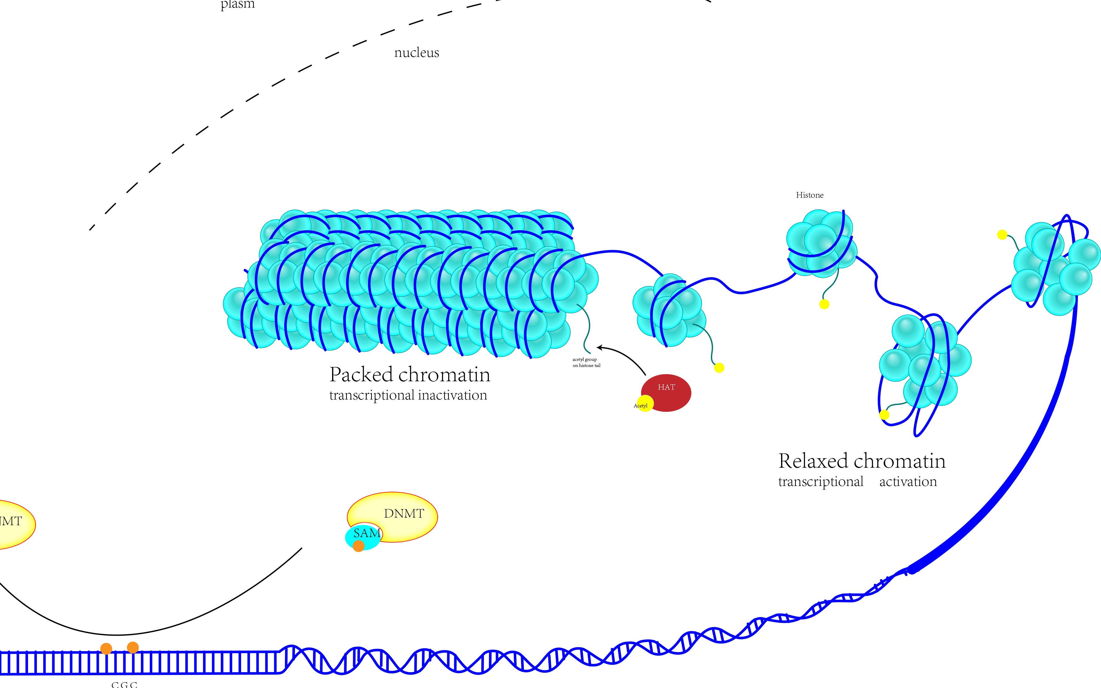 如何用AI画DNA分子哔哩哔哩bilibili