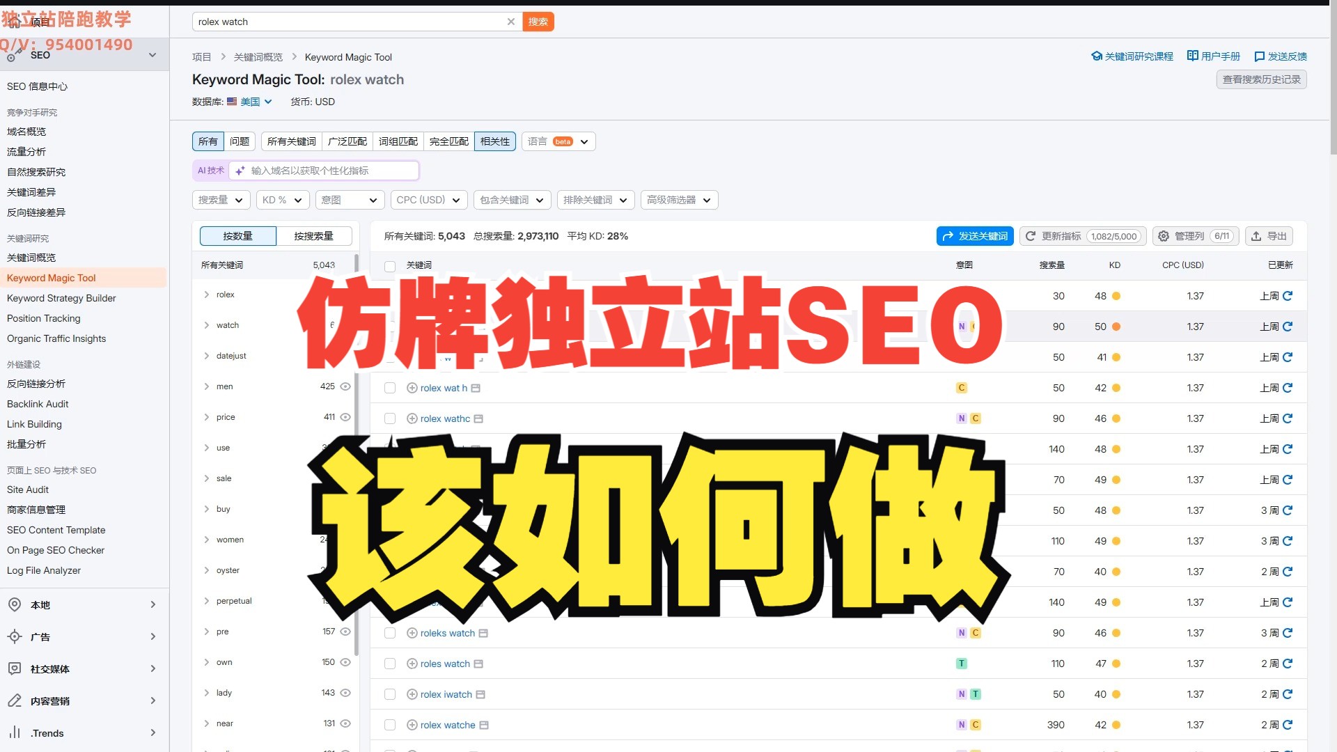 仿牌seo如何做(仿牌可以做哪些推广)哔哩哔哩bilibili