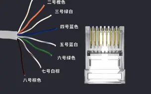 Descargar video: 10秒学会制作网线