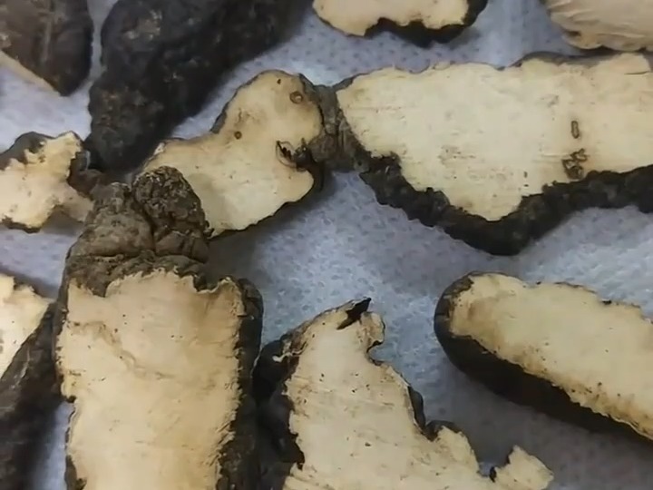 770 猪苓:多孔菌科真菌猪苓的干燥菌核.春,秋二季采挖,除去泥沙,干燥.