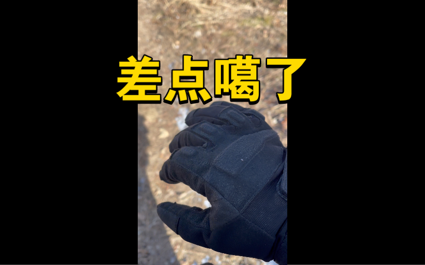 望山跑死马,不知道能不能跑死马,但我快噶了……哔哩哔哩bilibili