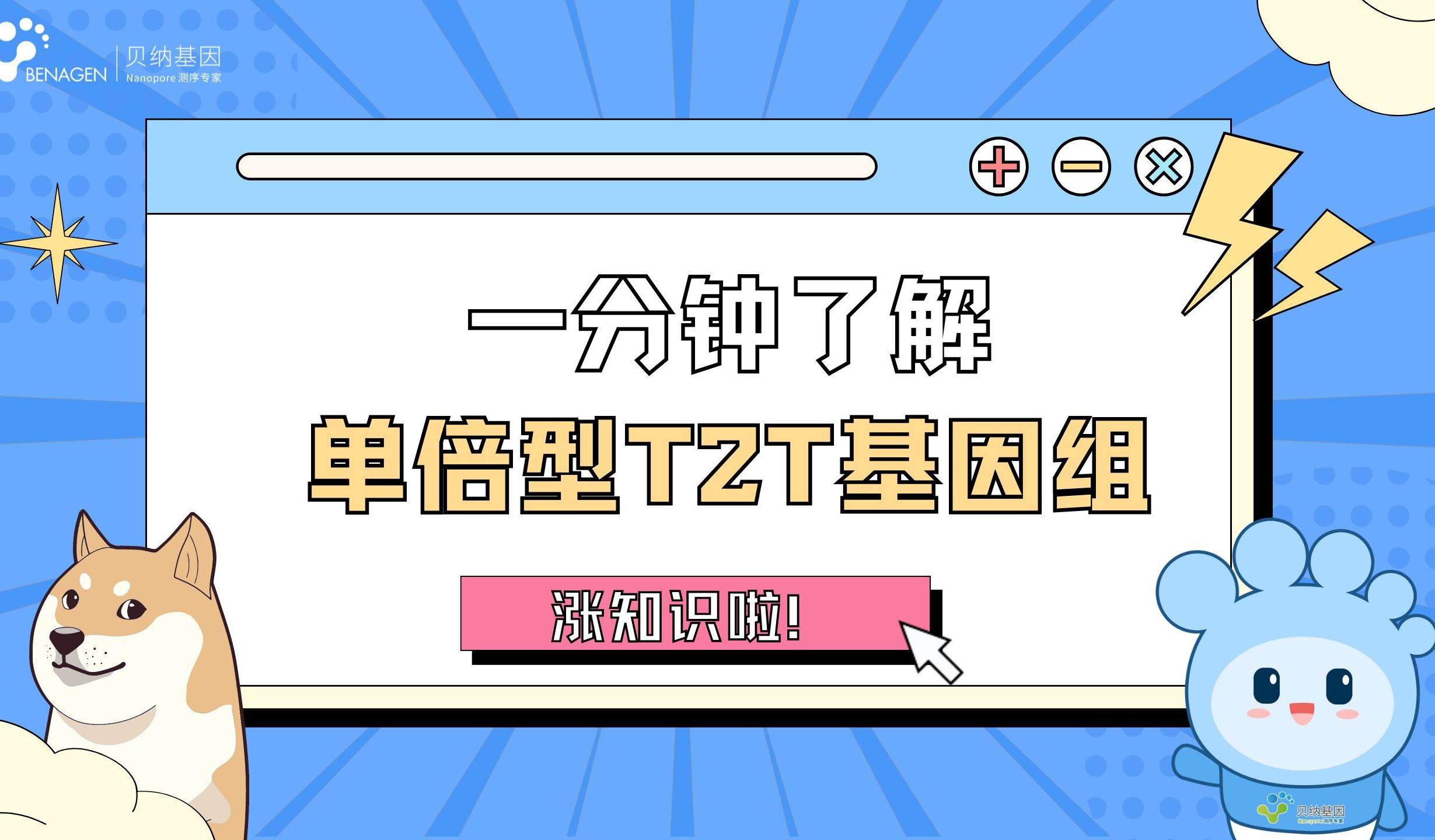 一分钟了解单倍型T2T基因组哔哩哔哩bilibili