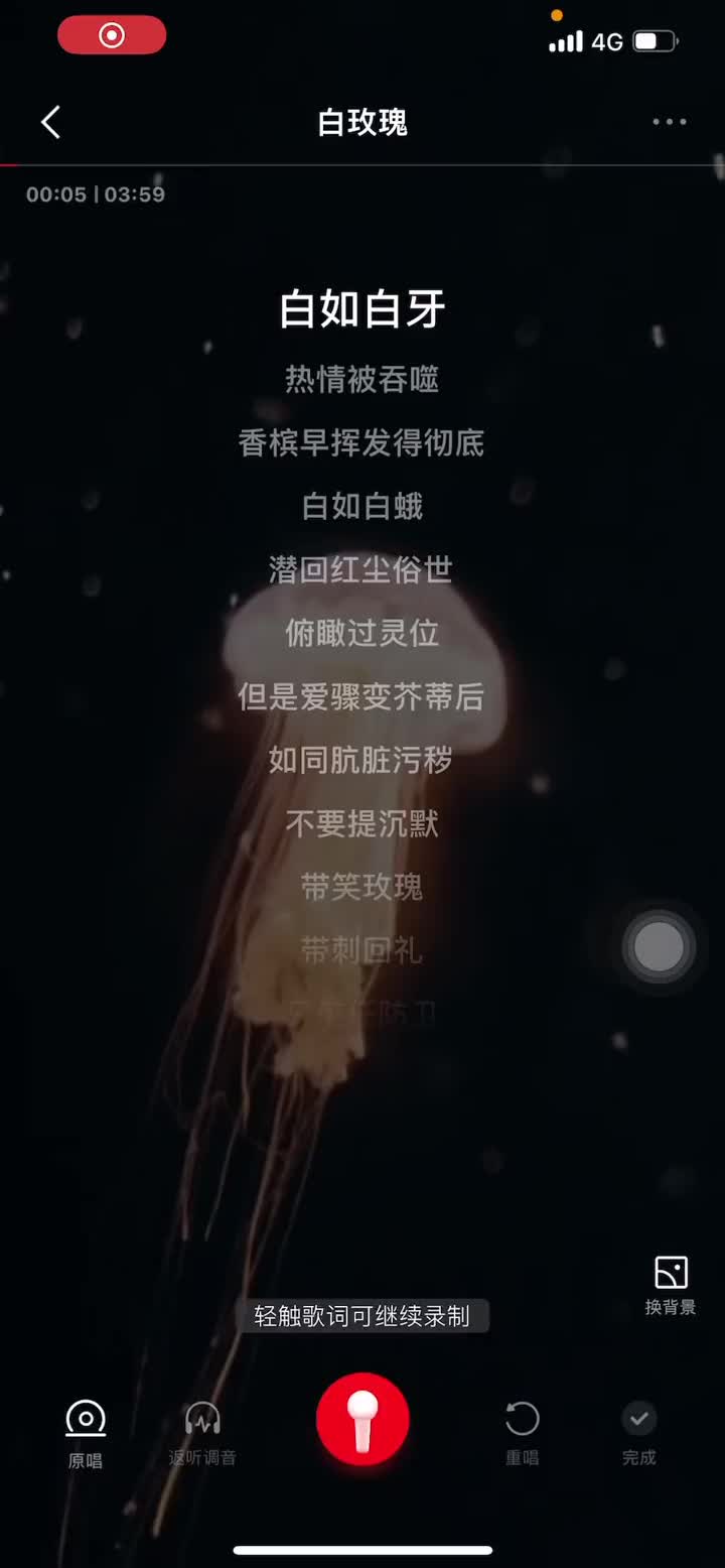 粤语歌白玫瑰宝藏歌曲哔哩哔哩bilibili