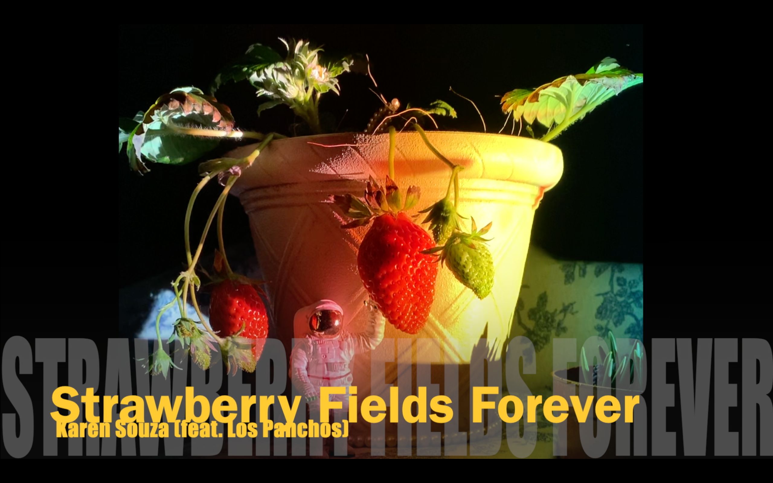 永远的草莓地StrawberryFieldsForever哔哩哔哩bilibili