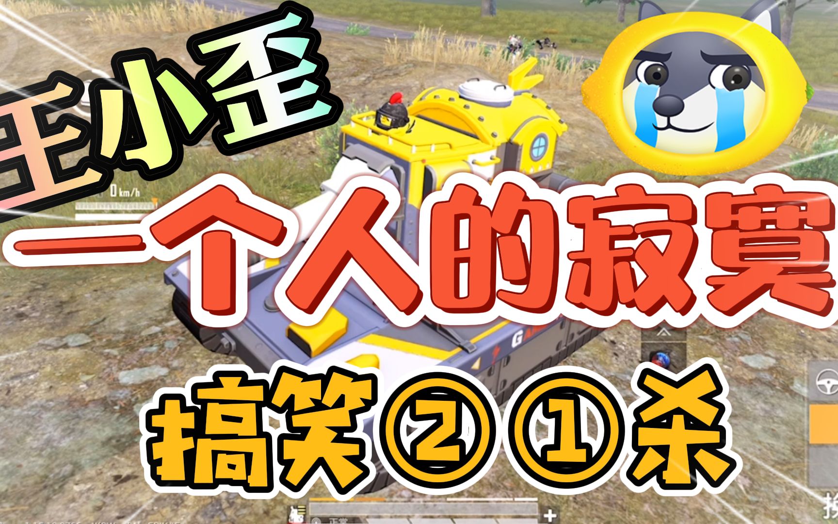 和平精英吃鸡主播王小歪单排21杀结局真搞笑真是一个人的寂寞啊_哔哩