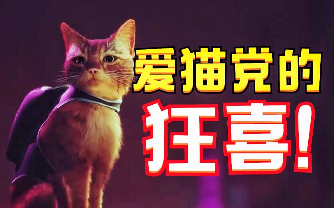 [图]【Z个好玩】年度猫猫游戏，爱猫党的狂喜《迷失》