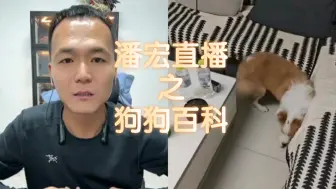 Tải video: 【潘宏直播回放】“神医喜来宏在线问诊”