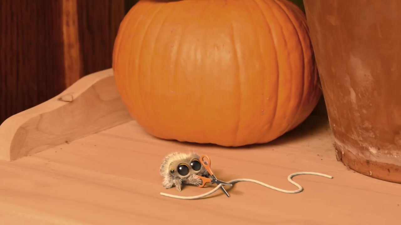 全集【lucas the spider】小蜘蛛卢卡斯超可爱,搞笑中学英语