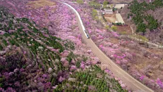 “开往春天的列车”、中式时装秀、云端下午茶……来自世界各地的女外交官们齐聚北京市延庆区，共享春日胜景。走近这些才华横溢的女性，了解一下她们在中国的奇妙旅程吧。