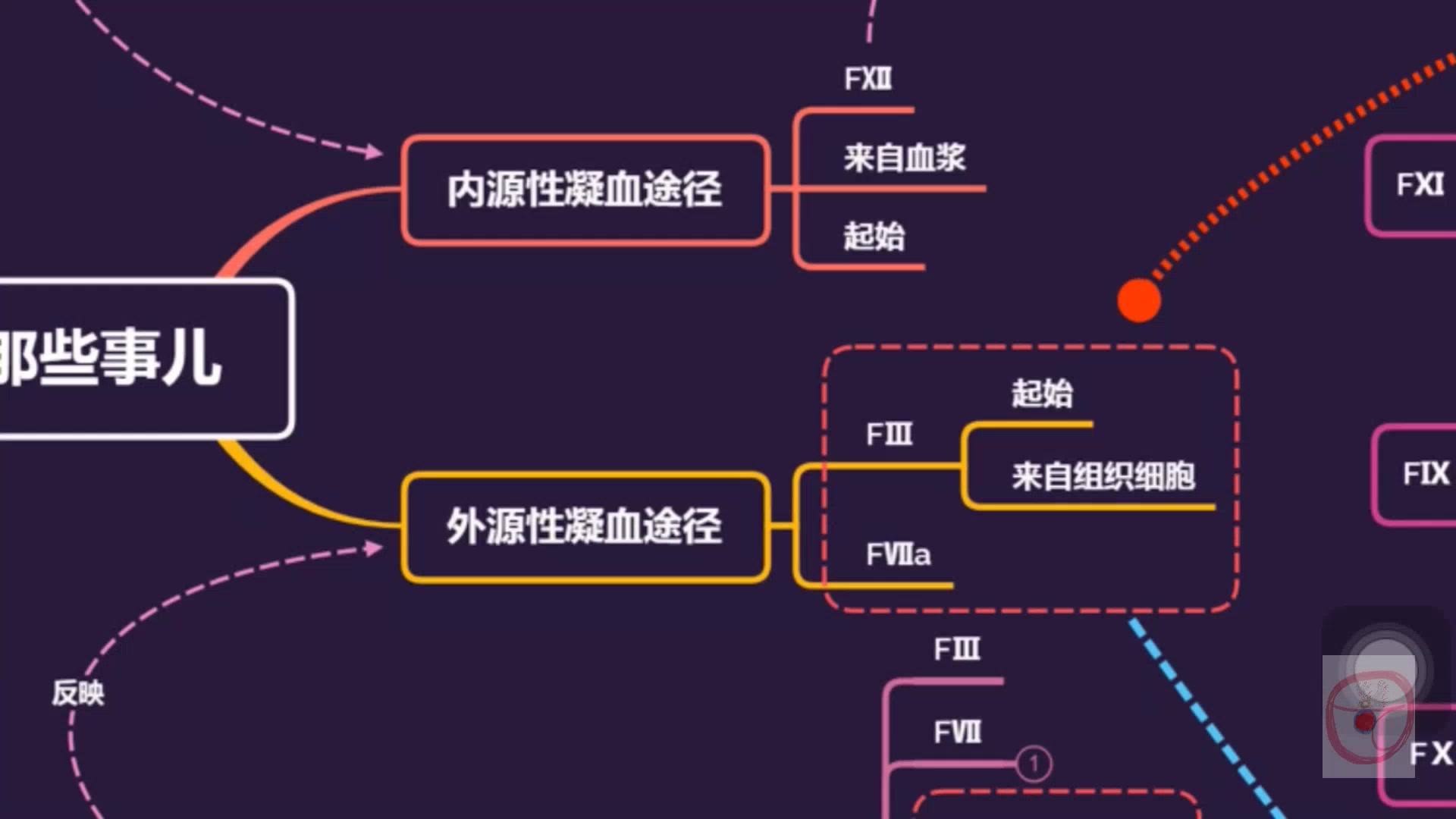 凝血的那些事儿—头脑风暴(第89期)思维导图解析