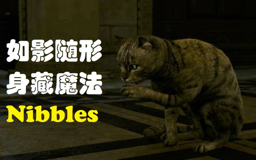 从巫师3中如影随形却很少有人注意的小猫Nibbles身上能学到哪些单词【玩点学点43】哔哩哔哩bilibili