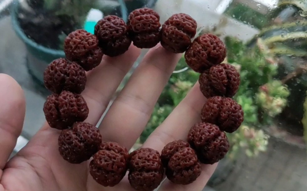 横空出世五星梅花双龙大金刚菩提手串配串录总决赛