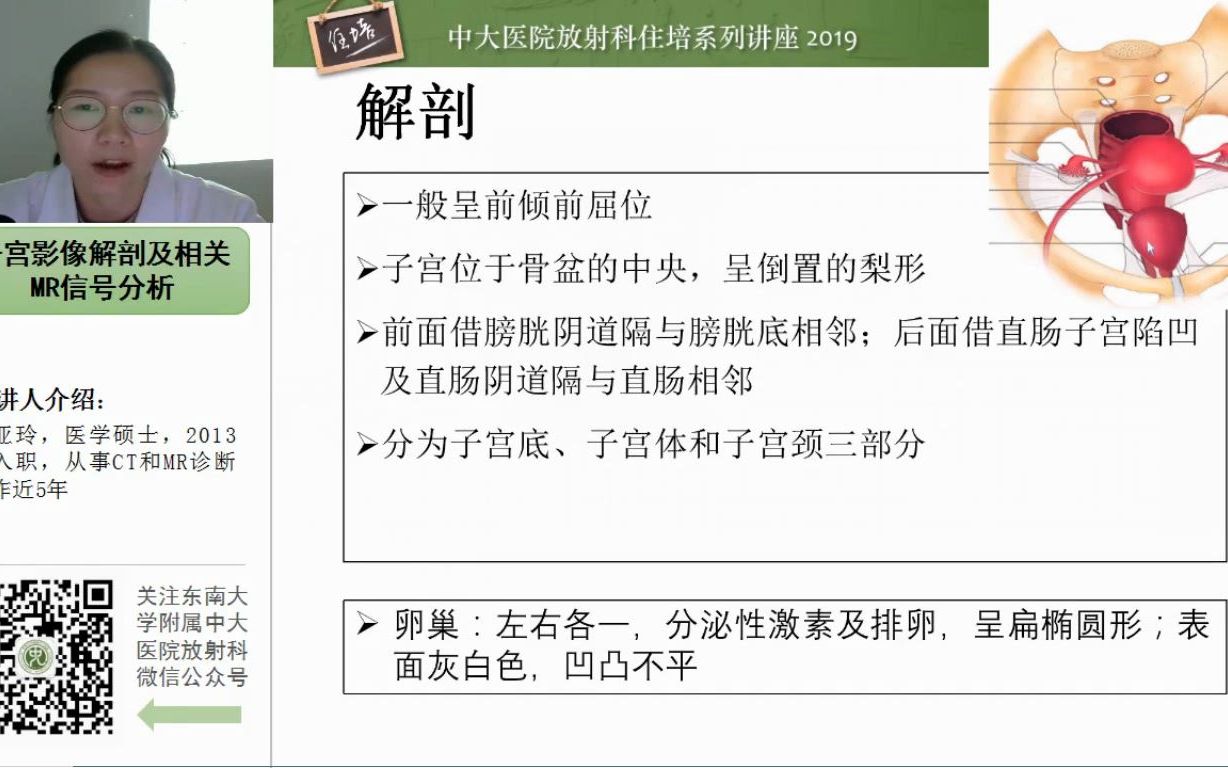 子宫影像解剖及相关MR信号分析中大王亚玲哔哩哔哩bilibili