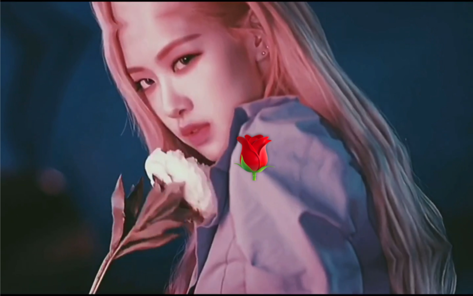 人间尤物朴彩英blackpink澳洲野玫瑰美颜暴击