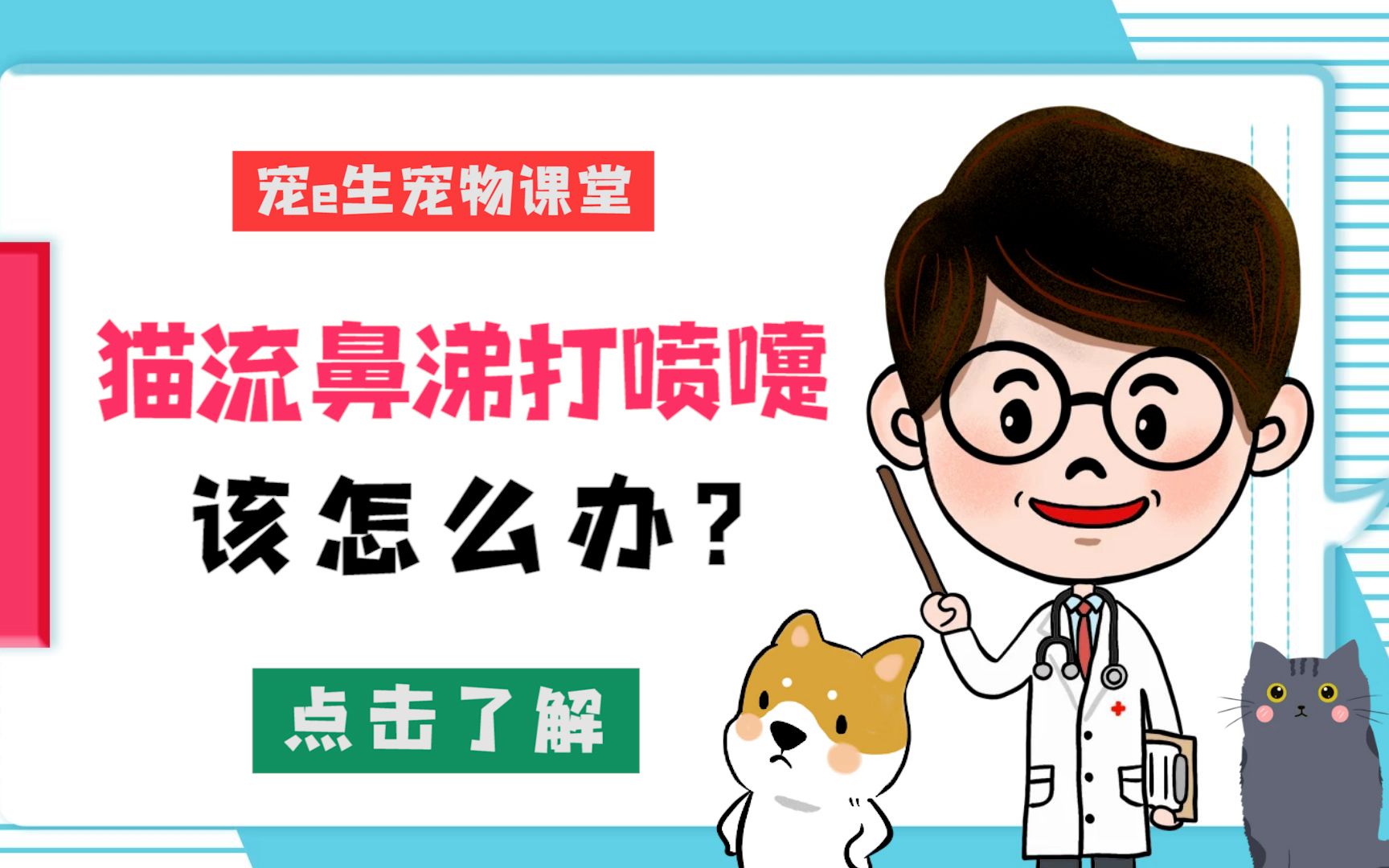 宠物知识!猫咪流鼻涕打喷嚏,是怎么回事?哔哩哔哩bilibili