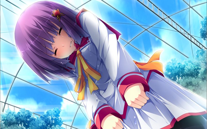 花与乙女的祝福 蓝那 祈32