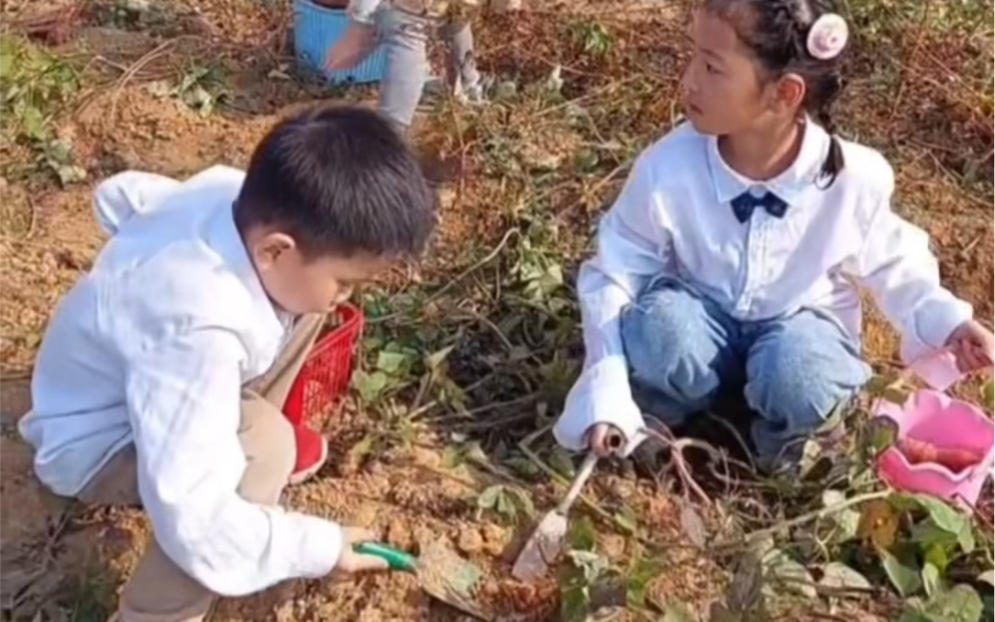 全国人大代表梅亦建议,在全国范围内探索和推进中小学生春秋假制度,比如在34月和1011月间各增设7天左右的春假和秋假.哔哩哔哩bilibili