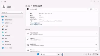 Download Video: 自己汉化并优化的Windows 11 loT LTSC 2024