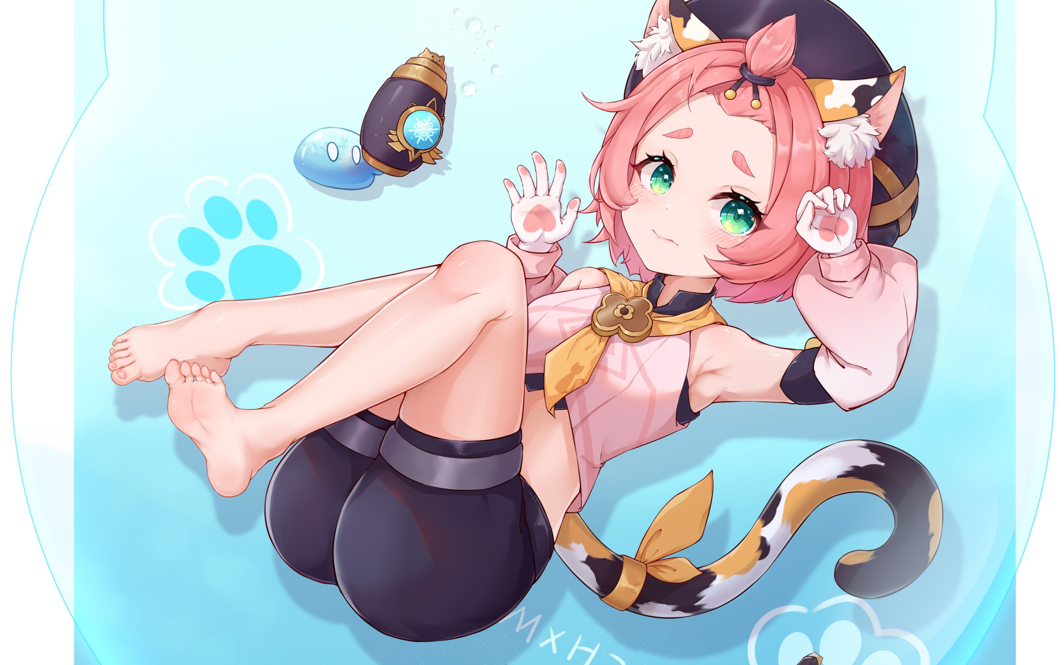 dio娜:喵喵~喵.喵喵!