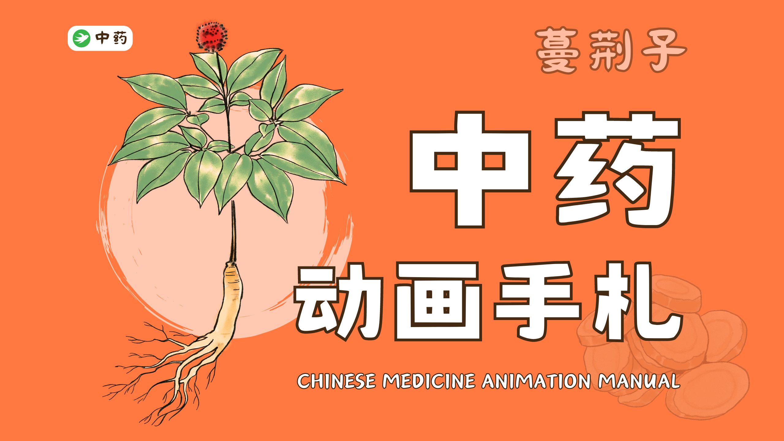 【耿小直】中药动画手札 | 蔓荆子