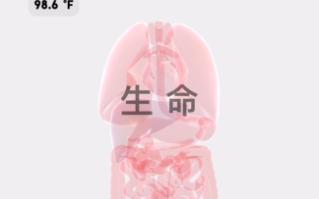 《 救 人 》