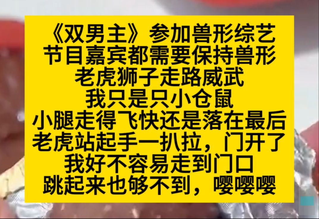 双男主 可可爱爱萌宠文,手是小仓鼠,甜宠文哔哩哔哩bilibili