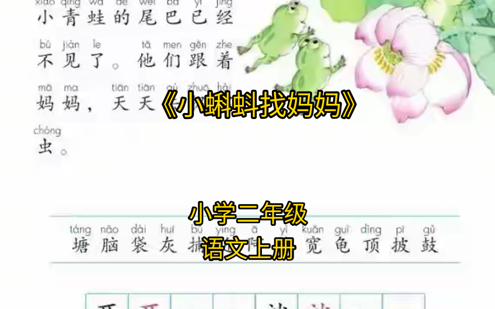 《小蝌蚪找妈妈》——小学二年级语文上册课文朗读哔哩哔哩bilibili