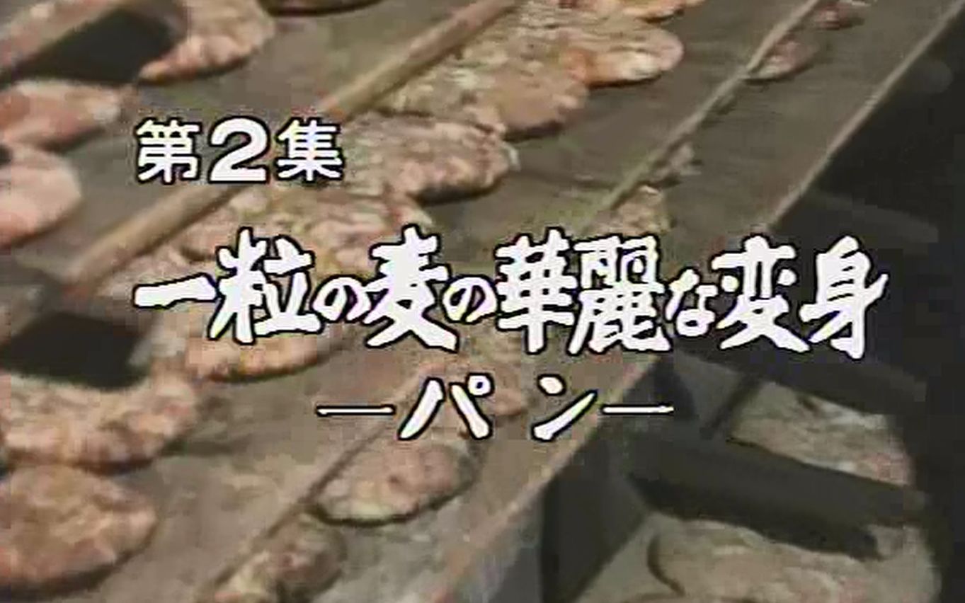 【NHK】民以食为天 02 一粒麦子华丽的变身——面包【中字/无字】哔哩哔哩bilibili