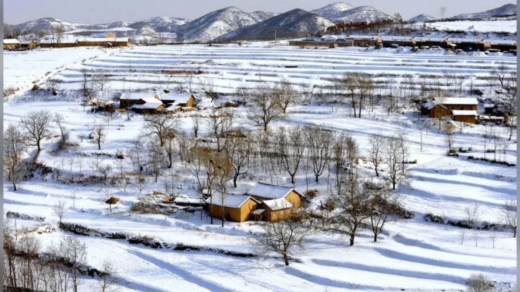 冬天照片 农村图片