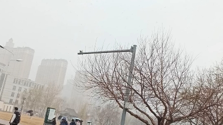 四月哈尔滨下雪哔哩哔哩bilibili