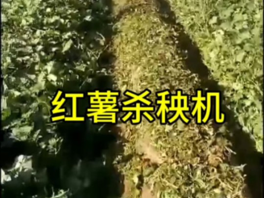 一次性全面粉碎垄沟垄面秧茎杂草哔哩哔哩bilibili