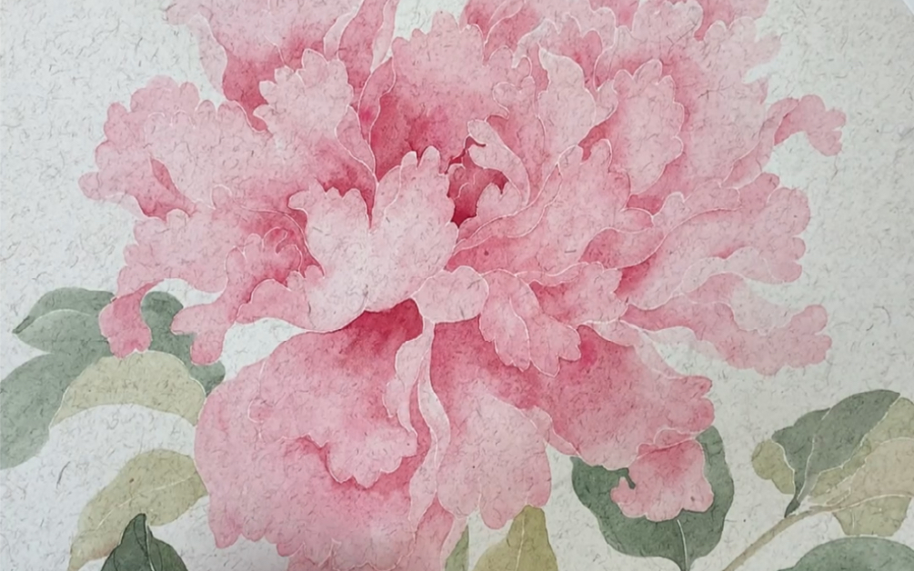 牡丹的没骨画法