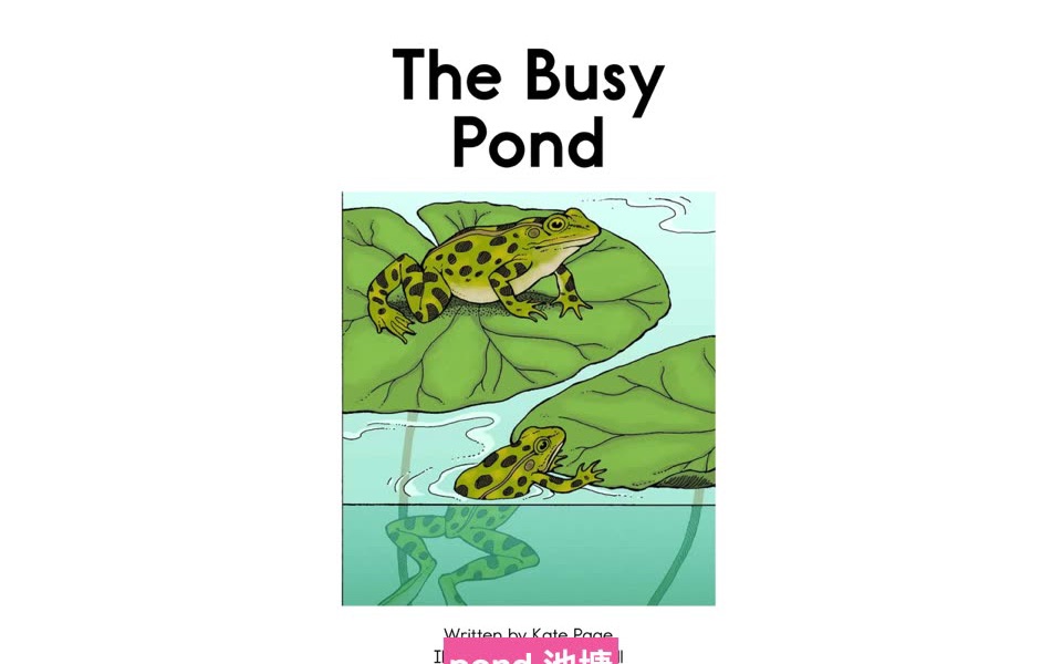 RAZ英文绘本阅读 D级the busy pond 池塘很忙!哔哩哔哩bilibili