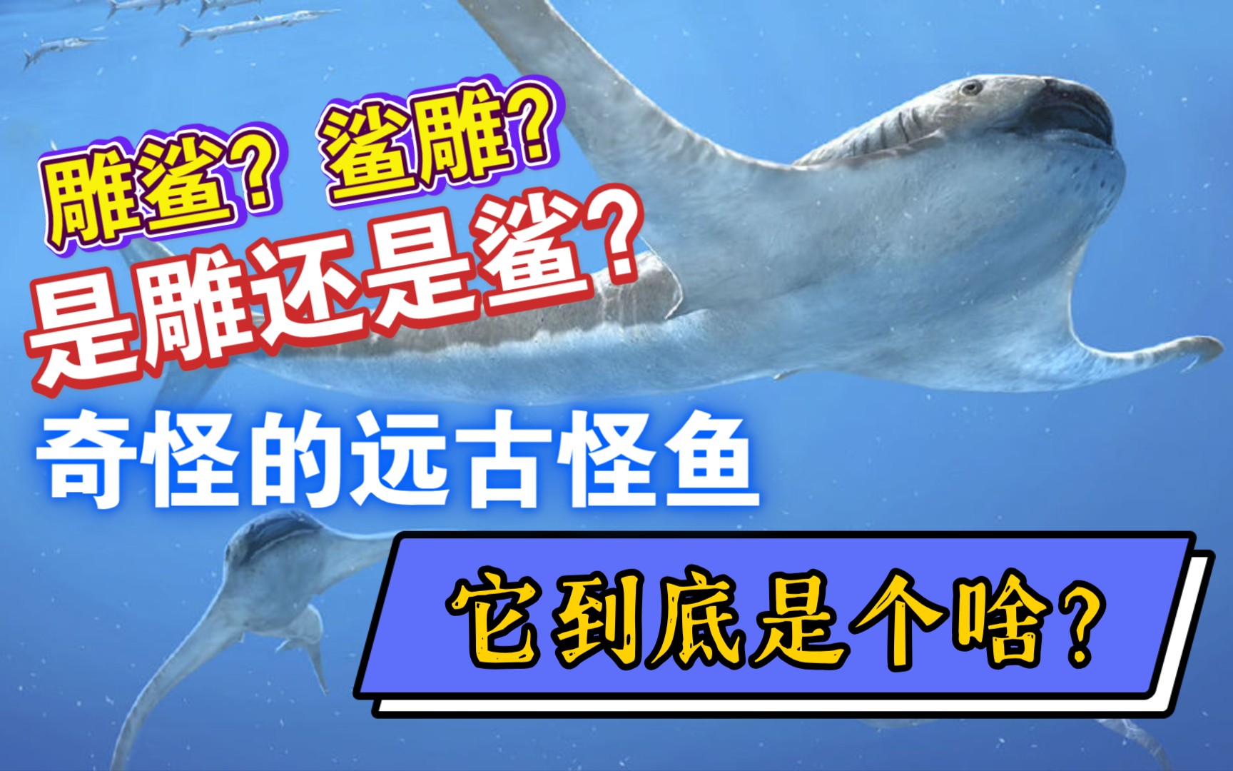 雕鲨?鲨雕?是雕还是鲨?奇怪的远古鱼它到底是个啥?哔哩哔哩bilibili