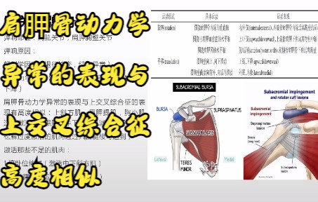 读文献的总结肩关节弹响的治疗策略哔哩哔哩bilibili