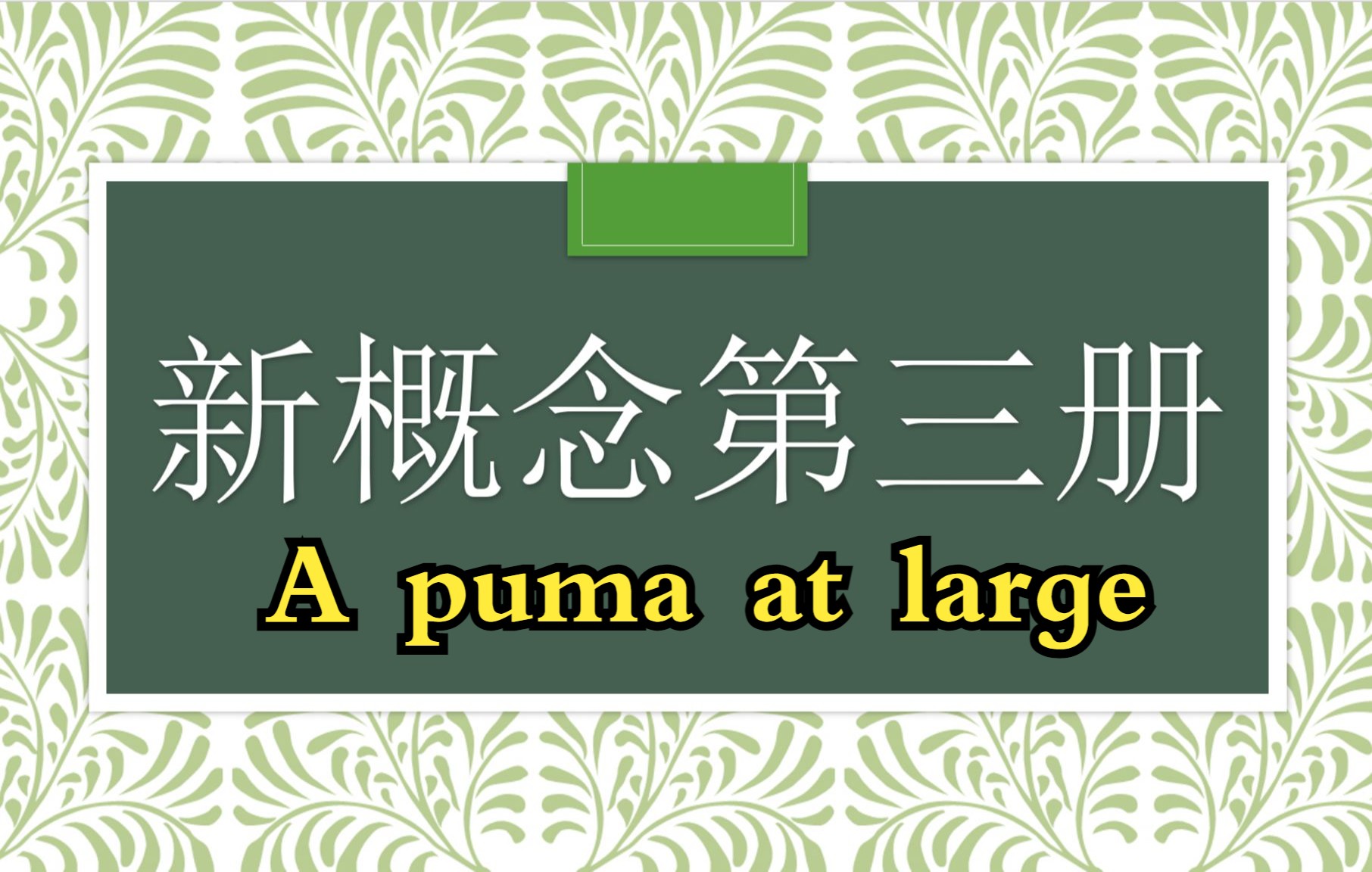 [图]【美音版】新概念第三册影子跟读训练1 a puma at large