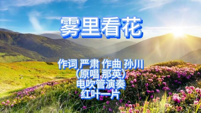 [图]电吹管演奏《雾里看花》