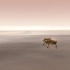 洞察号火星探测器火星着陆宣传片 原标题： InSight- Landing on Mars【洞察号-着陆火星】