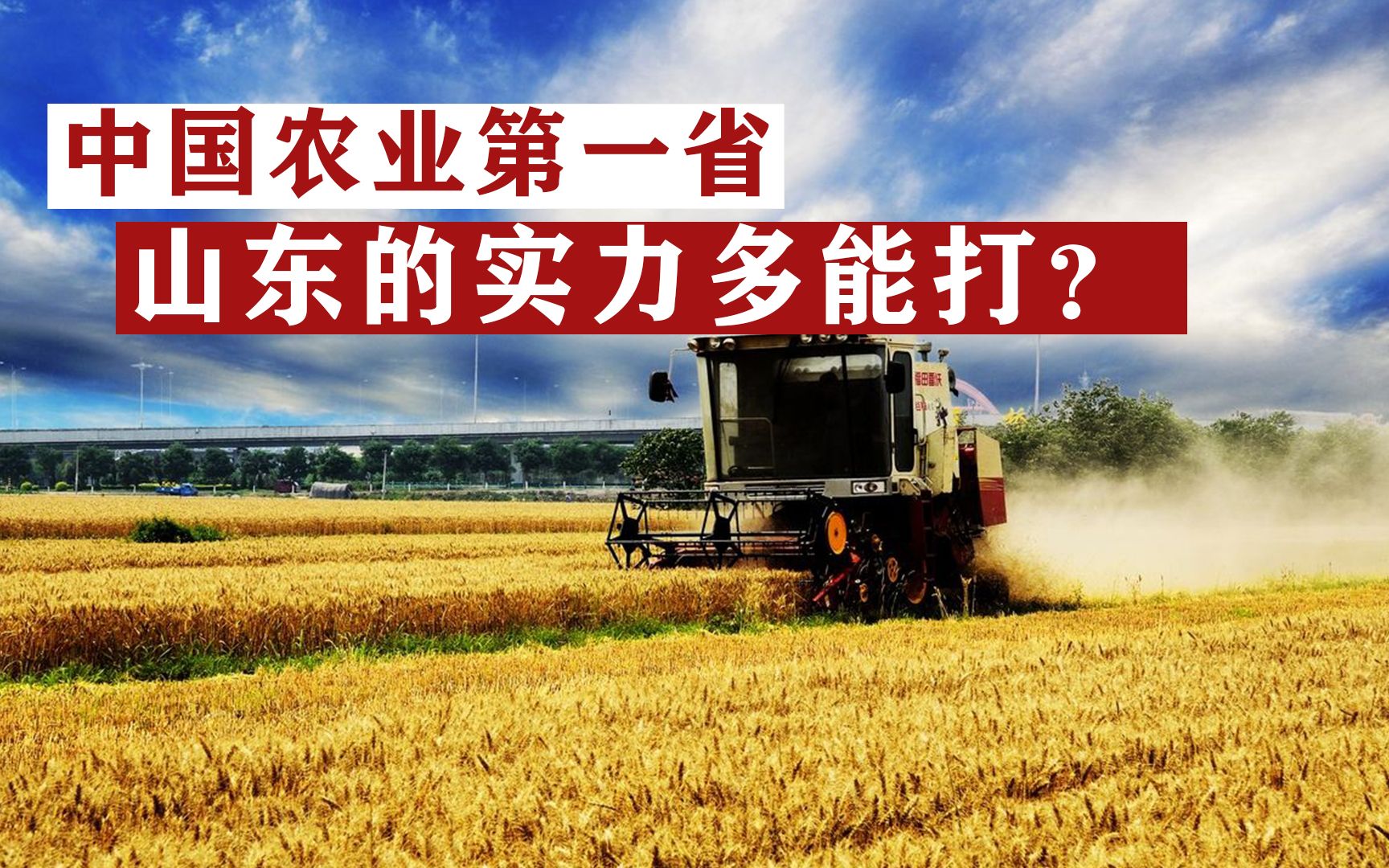 河南和山东谁才是中国农业第一省?全国三分之一花生油产自山东哔哩哔哩bilibili