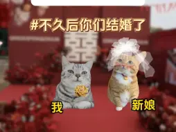 Download Video: 外婆的爱 化蝶而来