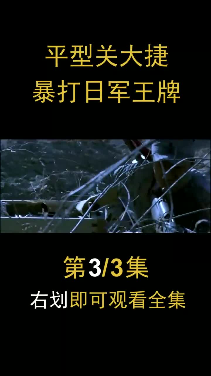 平型关大捷:八路军的第一个大胜仗,暴打日军王牌主力,太解气了 #历史 #平型关大捷哔哩哔哩bilibili