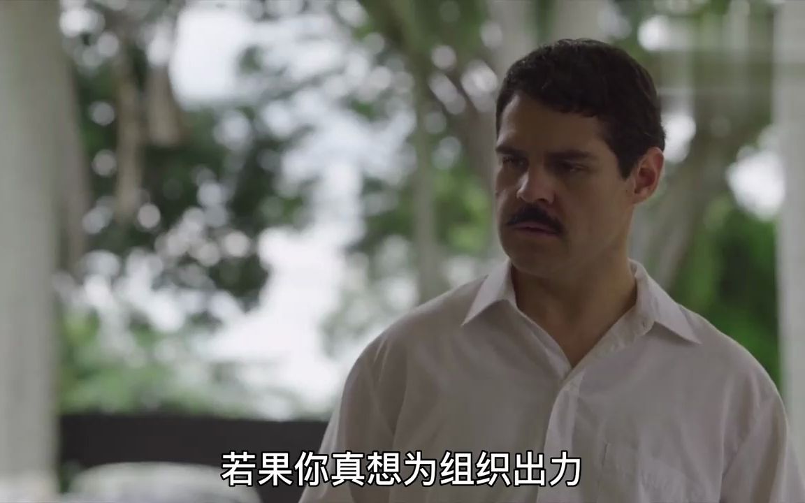 一口气看完《毒枭矮子》第一季