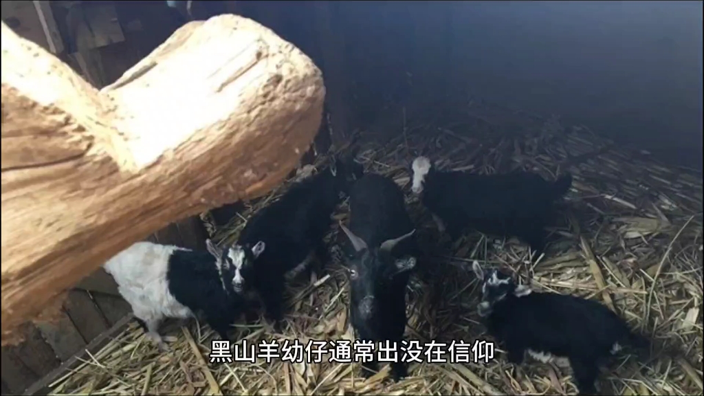 克苏鲁神话之黑山羊幼仔