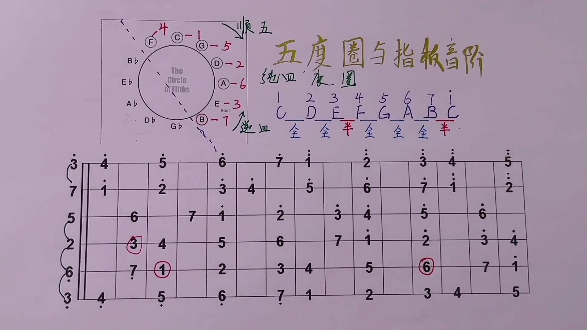 指板音阶的定弦原理有规律思路很清晰零基础学吉他指板音阶吉他教