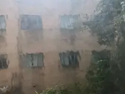 Скачать видео: 我们上海蛞蝓猫也有属于自己的雨循环～