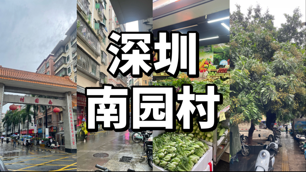 中国广东深圳南山区南园村,下雨天路过拍摄记录,变化好大啊,以前很多
