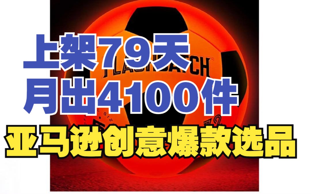 上架79天,月出4100件! 亚马逊创意爆款选品!哔哩哔哩bilibili